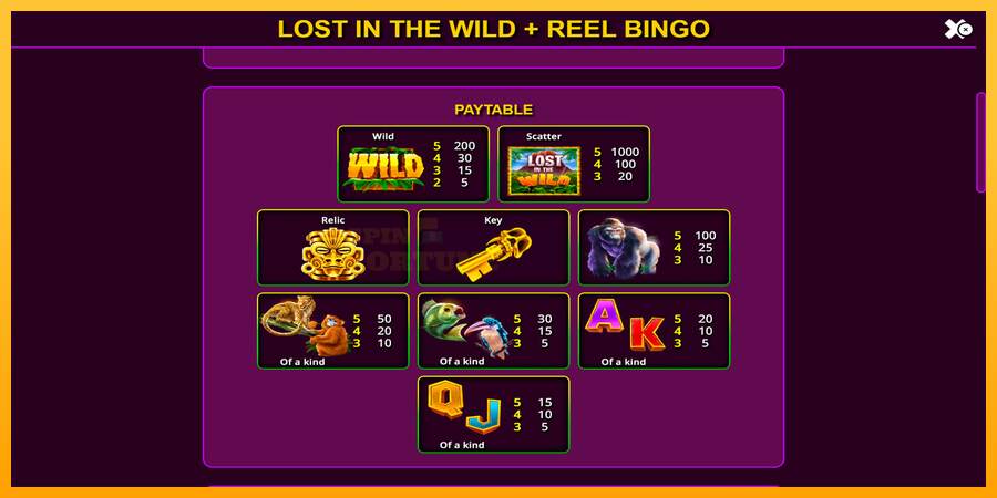 Lost in the Wild with Reel Bingo mesin permainan untuk uang, gambar 6