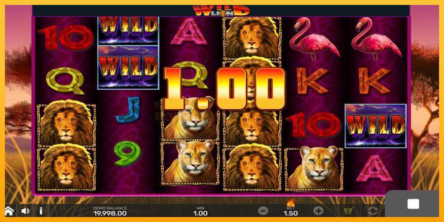 Wild Lion with Reel Bingo mesin permainan untuk uang, gambar 2