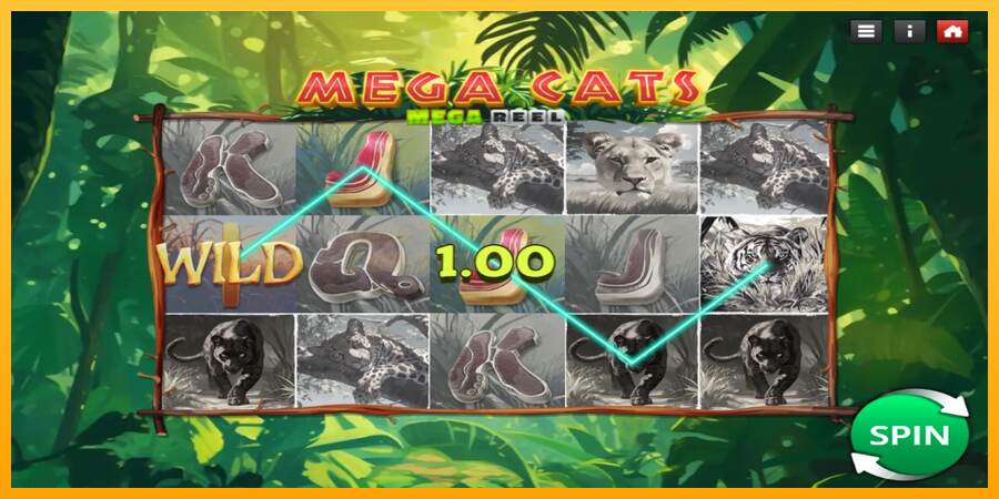 Mega Cats Mega Reel mesin permainan untuk uang, gambar 3