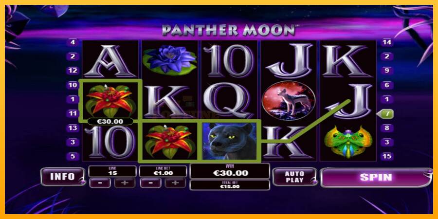 Panther Moon mesin permainan untuk uang, gambar 2