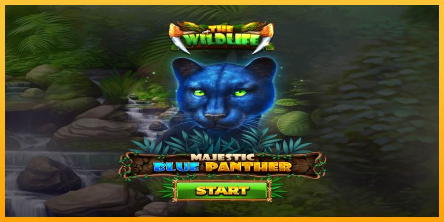 Majestic Blue Panther mesin permainan untuk uang, gambar 1