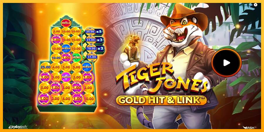 Gold Hit & Link: Tiger Jones mesin permainan untuk uang, gambar 1