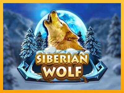 Siberian Wolf mesin permainan untuk uang