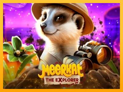 Meerkat mesin permainan untuk uang