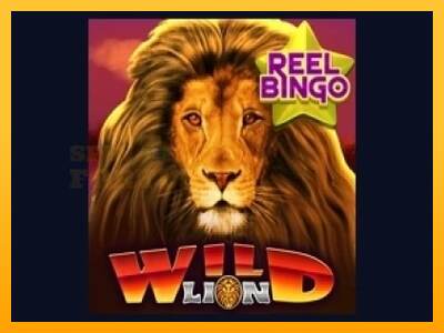 Wild Lion with Reel Bingo mesin permainan untuk uang